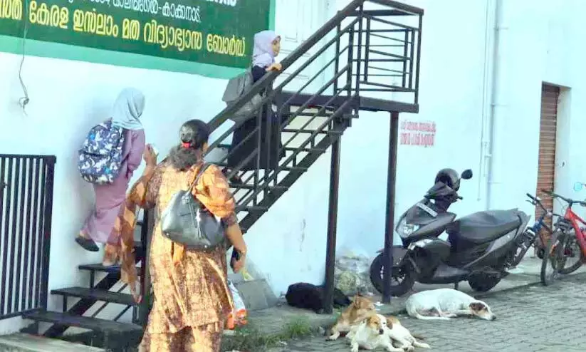 Kerala : थ्रिक्काकरा नगर पालिका सीमा में आवारा कुत्तों का उपद्रव बढ़ रहा Kerala : थ्रिक्काकरा नगर पालिका सीमा में आवारा कुत्तों का उपद्रव बढ़ रहा
