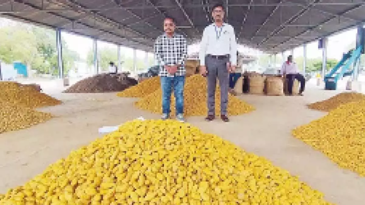 विशेषज्ञों ने अरमूर हल्दी को जीआई टैग दिलाने के लिए क्षेत्र-स्तरीय दौरे किए विशेषज्ञों ने अरमूर हल्दी को जीआई टैग दिलाने के लिए क्षेत्र-स्तरीय दौरे किए