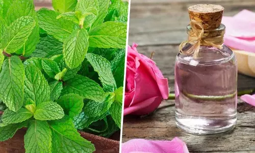 Beauty Tips: गर्मियों में चेहरे की त्वचा फीकी पड़ने लगती है, इन 8 होममेड फेस वॉश से खुद को करें तरोताजा Beauty Tips: गर्मियों में चेहरे की त्वचा फीकी पड़ने लगती है, इन 8 होममेड फेस वॉश से खुद को करें तरोताजा