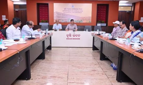 Bhubaneswar:  राज्य को बाजरा हब बनाने के प्रयास तेज हों: पाढी
