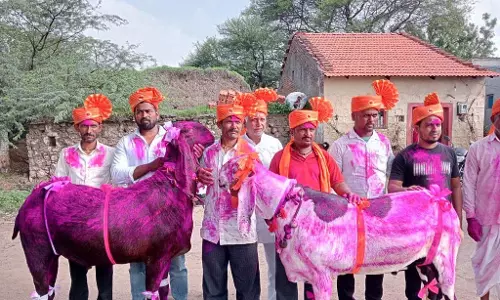 बकरीद का त्यौहार: दो बकरों की कीमत ₹5.10 लाख