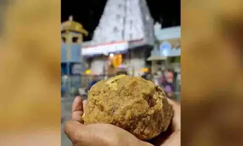 TTD ने तिरुपति लड्डू की अनधिकृत बिक्री के लिए फर्म को नोटिस जारी