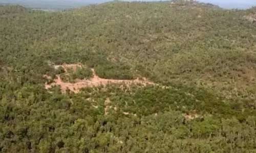 सर्वेक्षण से पता चलता है कि विभाजन के बाद AP वन क्षेत्र में वृद्धि हुई