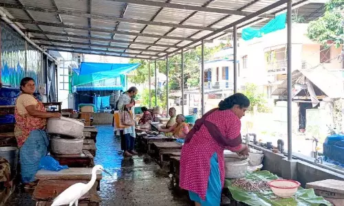 Kerala ; मछलियों की मांग नहीं, मछुआरे चिंतित