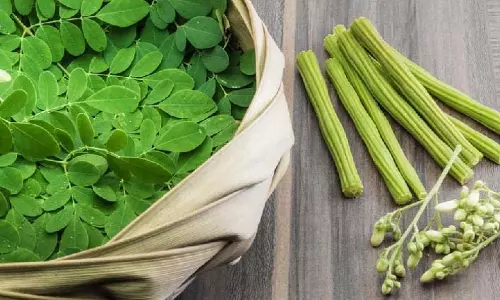 Moringa के 10 अद्भुत स्वास्थ्य लाभ