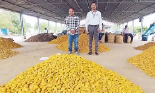 विशेषज्ञों ने अरमूर हल्दी को जीआई टैग दिलाने के लिए क्षेत्र-स्तरीय दौरे किए