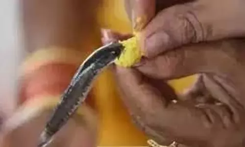 Telangana: मछली प्रसादम कार्यक्रम के लिए यातायात में बदलाव Telangana: मछली प्रसादम कार्यक्रम के लिए यातायात में बदलाव