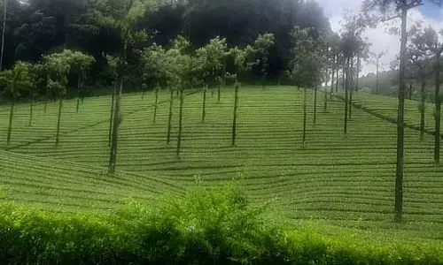 सबरीमाला हवाई अड्डा: सर्वेक्षण कार्य सोमवार से शुरू