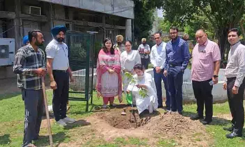 DC ने फतेहगढ़ साहिब को हरा-भरा जिला बनाने के लिए पौधारोपण अभियान शुरू
