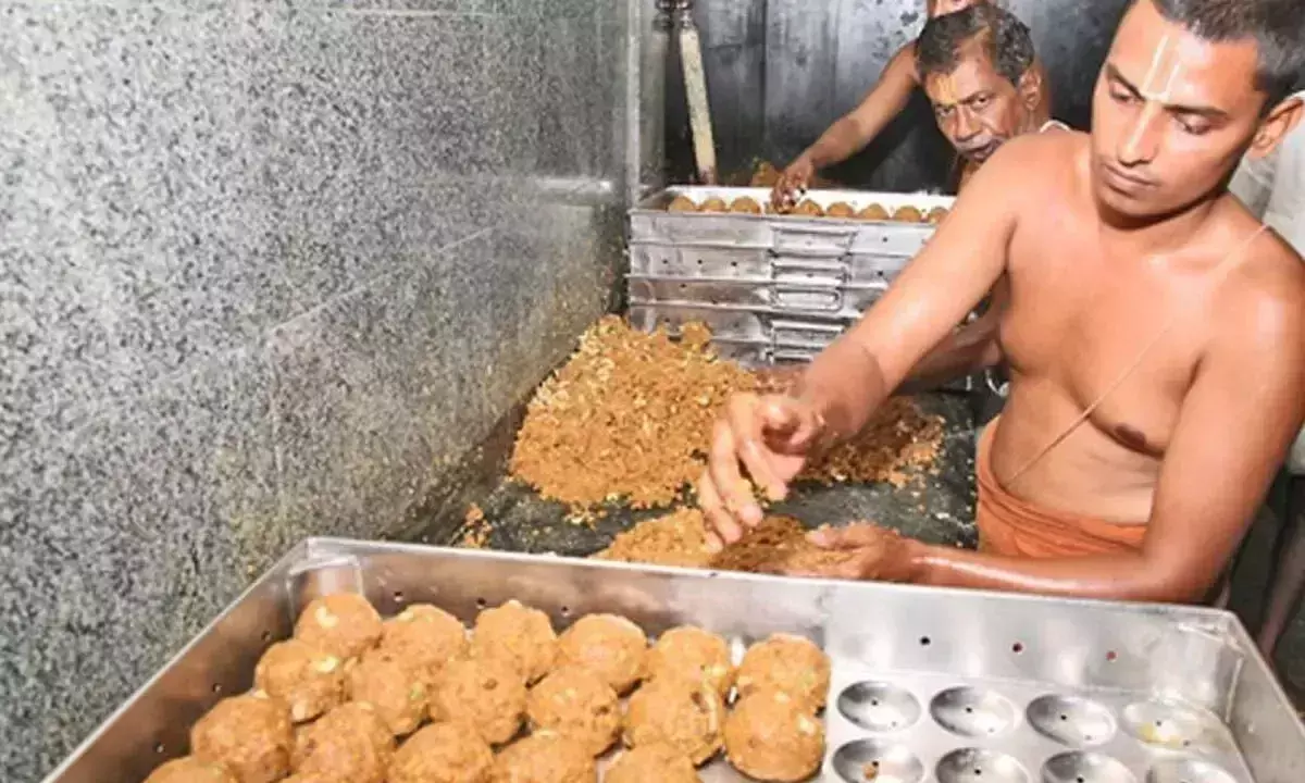 TTD ने तिरुपति लड्डू के जीआई दर्जे की रक्षा के लिए कानूनी कार्रवाई की TTD ने तिरुपति लड्डू के जीआई दर्जे की रक्षा के लिए कानूनी कार्रवाई की