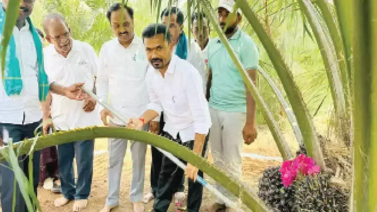 Telangana: विधायक ने पाम ऑयल की खेती पर दिया जोर