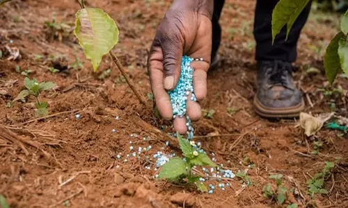 Andhra  कृषि विभाग ने खरीफ 2025 के लिए उर्वरकों की पर्याप्त आपूर्ति सुनिश्चित की