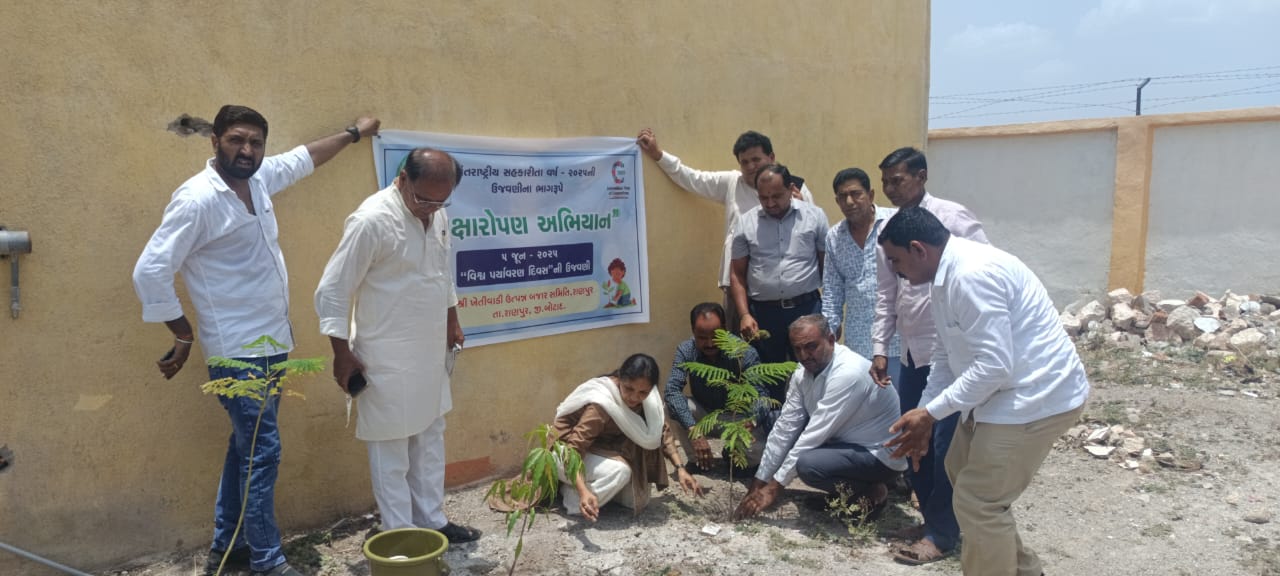 विश्व पर्यावरण दिवस पर बोटाद में 35,000 पेड़ लगाने की योजना