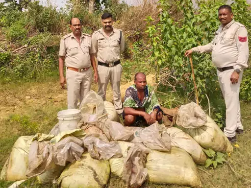 बिलासपुर में महुआ शराब बनाने वाले 5 लोग गिरफ्तार, आबकारी विभाग ने की छापेमारी बिलासपुर में महुआ शराब बनाने वाले 5 लोग गिरफ्तार, आबकारी विभाग ने की छापेमारी