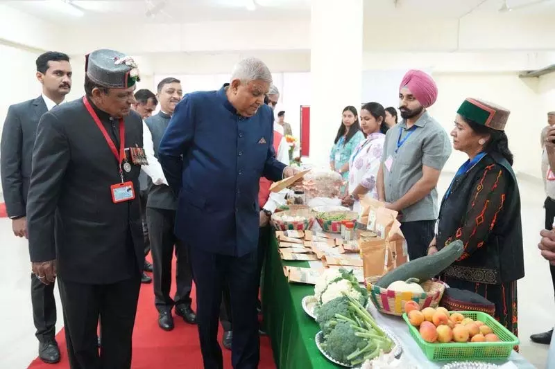 कम ऊंचाई वाले सेब से लेकर बाजरे के जादू तक, Nauni प्रदर्शनी में नवाचार की झलक कम ऊंचाई वाले सेब से लेकर बाजरे के जादू तक, Nauni प्रदर्शनी में नवाचार की झलक