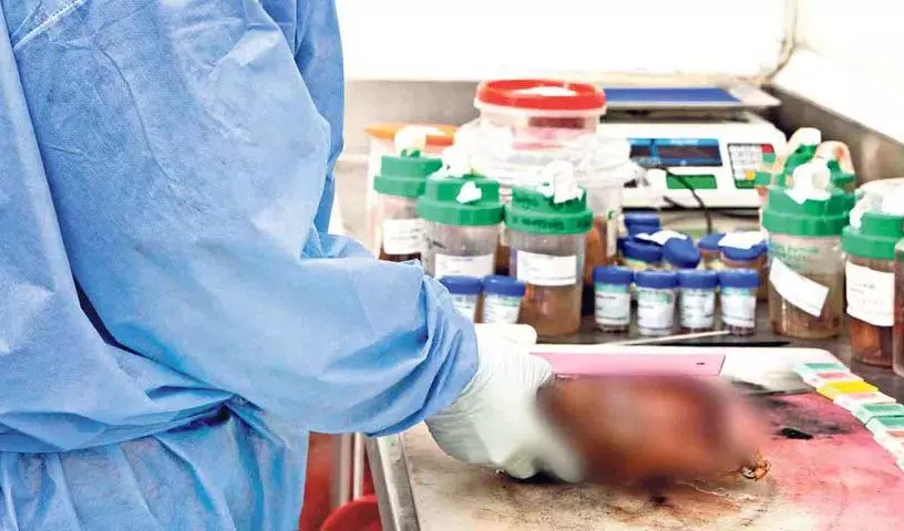 Hyderabad में छह खाद्य परीक्षण प्रयोगशालाएं स्थापित की जाएंगी Hyderabad में छह खाद्य परीक्षण प्रयोगशालाएं स्थापित की जाएंगी