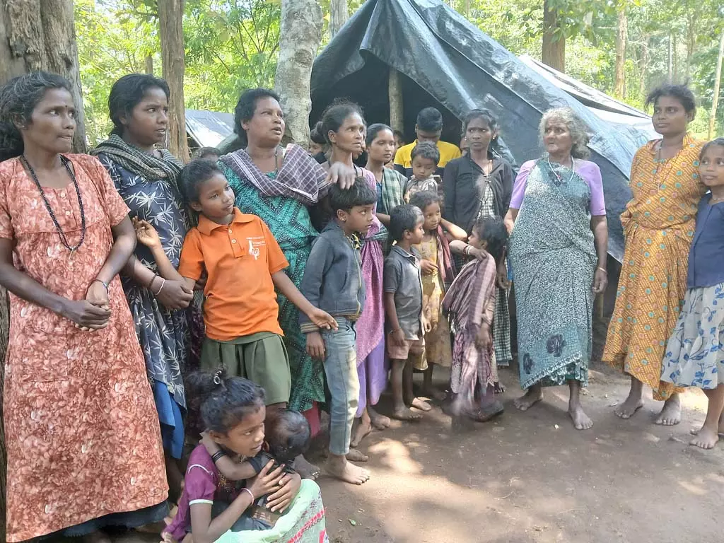 Attur Kolli Hadi: वन पक्षियों के लिए संघर्ष जारी Attur Kolli Hadi: वन पक्षियों के लिए संघर्ष जारी