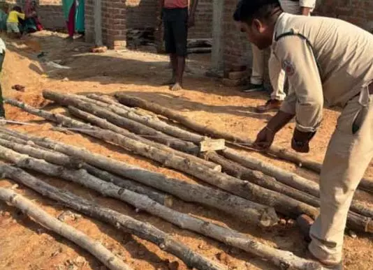भंडारण कर रखे सागौन लकड़ी जब्त, वन विभाग की रेड भंडारण कर रखे सागौन लकड़ी जब्त, वन विभाग की रेड