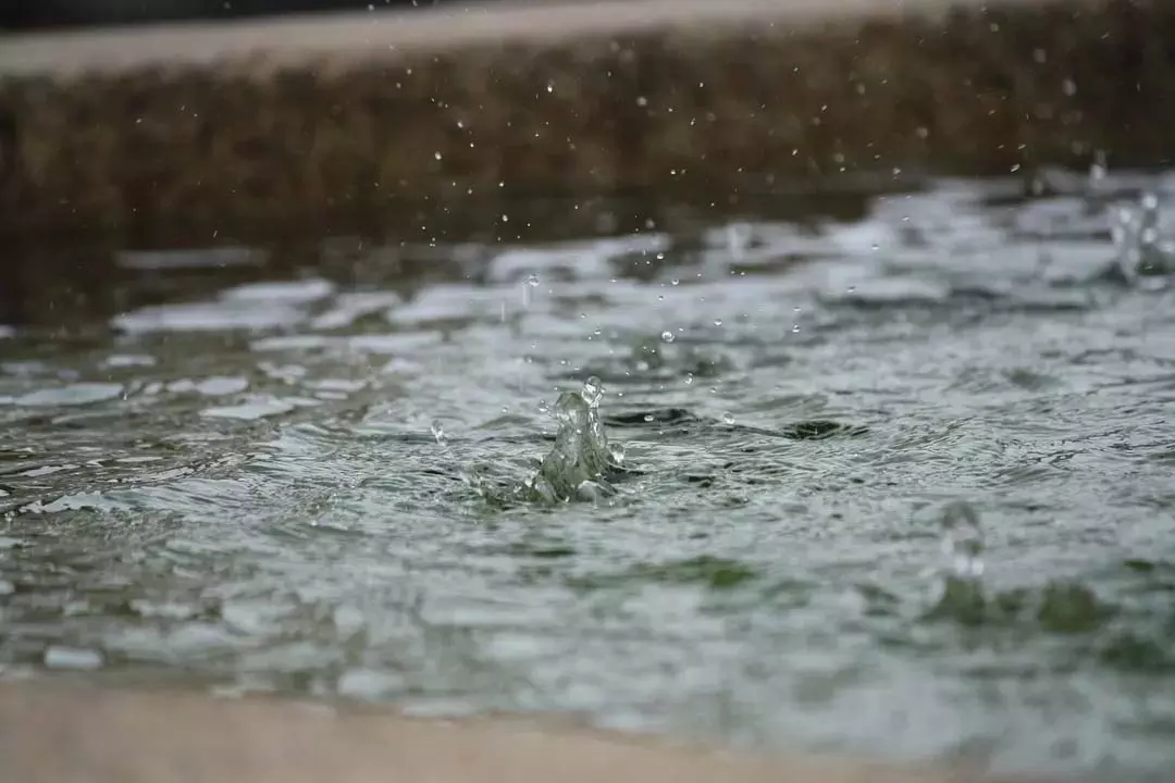 ओडिशा में पुरी स्नान यात्रा के दौरान गर्म और उमस भरा मौसम; बारिश की संभावना ओडिशा में पुरी स्नान यात्रा के दौरान गर्म और उमस भरा मौसम; बारिश की संभावना