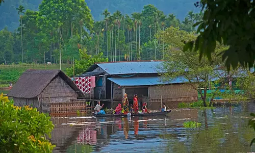 Kaziranga में बाढ़ कम हुई, 25 वन शिविर अभी भी जलमग्न Kaziranga में बाढ़ कम हुई, 25 वन शिविर अभी भी जलमग्न