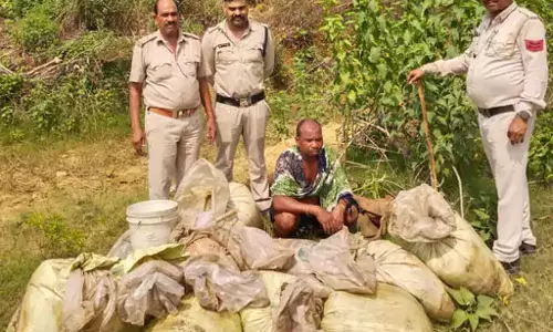 बिलासपुर में महुआ शराब बनाने वाले 5 लोग गिरफ्तार, आबकारी विभाग ने की छापेमारी