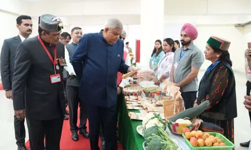 कम ऊंचाई वाले सेब से लेकर बाजरे के जादू तक, Nauni प्रदर्शनी में नवाचार की झलक कम ऊंचाई वाले सेब से लेकर बाजरे के जादू तक, Nauni प्रदर्शनी में नवाचार की झलक
