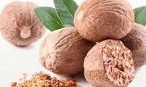 Health: महिलाओं के लिए वरदान है जायफल, मिलेंगे ये अद्भुत फायदे Health: महिलाओं के लिए वरदान है जायफल, मिलेंगे ये अद्भुत फायदे