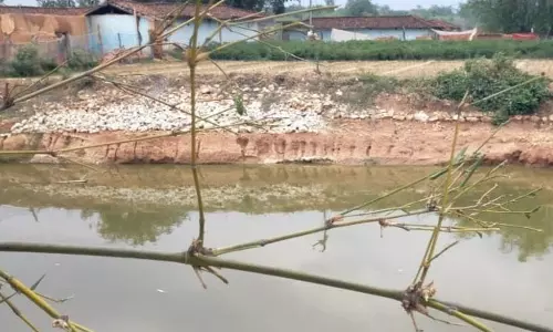 लखपति बना ग्रामीण, डबरी निर्माण से संवरी किस्मत
