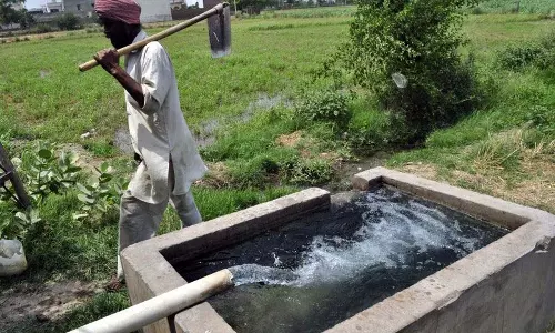 अमृतसर में किसानों को नहीं मिल रही 8 घंटे की निर्बाध बिजली