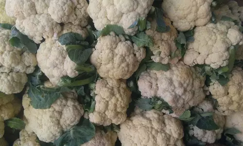 Tumkur : सब्जियां, साग, चिकन महंगे Tumkur : सब्जियां, साग, चिकन महंगे