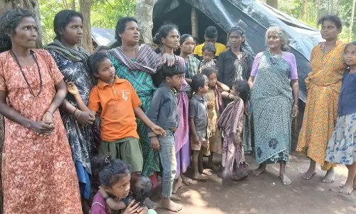 Attur Kolli Hadi: वन पक्षियों के लिए संघर्ष जारी Attur Kolli Hadi: वन पक्षियों के लिए संघर्ष जारी
