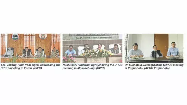 DPDB , एसडीपीडीबी की बैठकों में पर्यावरण संबंधी पहलों पर ध्यान केंद्रित किया गया