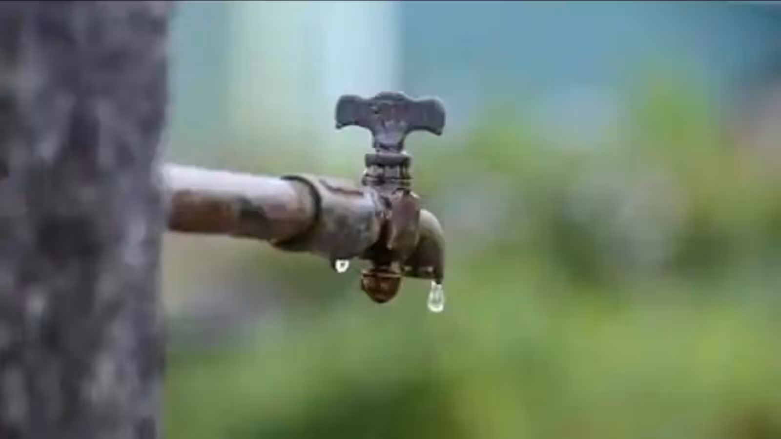 Sheopur के आदिवासी गांवों में पानी का हाहाकार, विधायक पर उठे सवाल