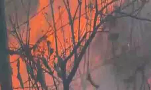 Reasi के जंगल में लगी आग, अधिकारियों ने काबू पाया