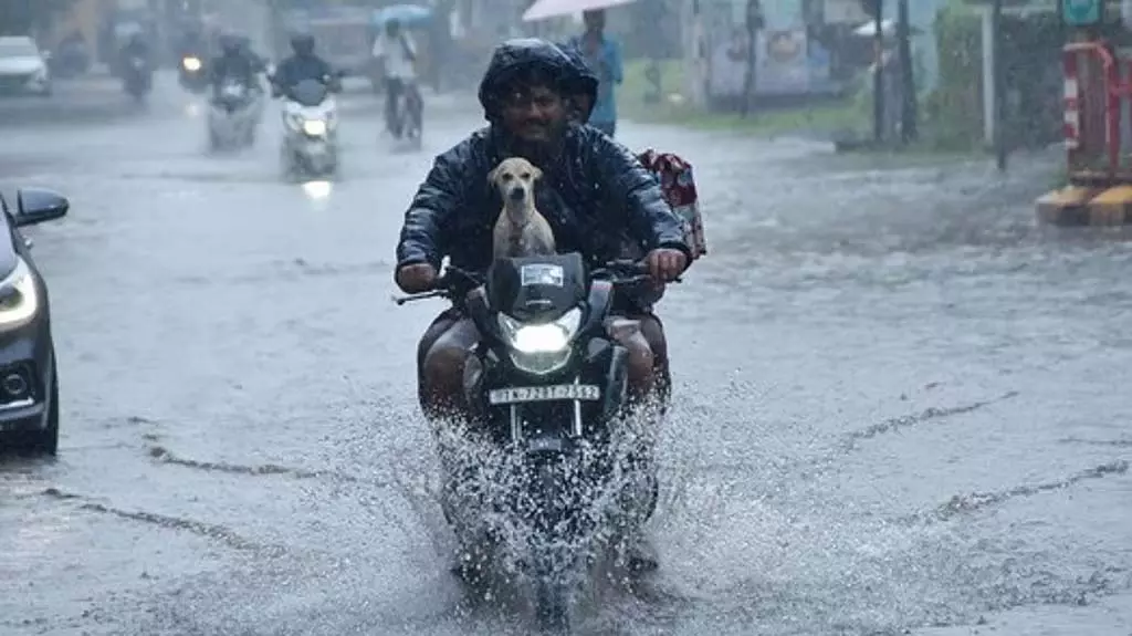 Tamil Nadu : कल 9 जिलों में भारी बारिश की पीली चेतावनी Tamil Nadu : कल 9 जिलों में भारी बारिश की पीली चेतावनी