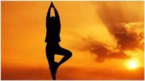 Health: गर्मियों में एक महीने तक हर दिन सूर्य नमस्कार करने से शरीर पर क्या प्रभाव पड़ता है Health: गर्मियों में एक महीने तक हर दिन सूर्य नमस्कार करने से शरीर पर क्या प्रभाव पड़ता है