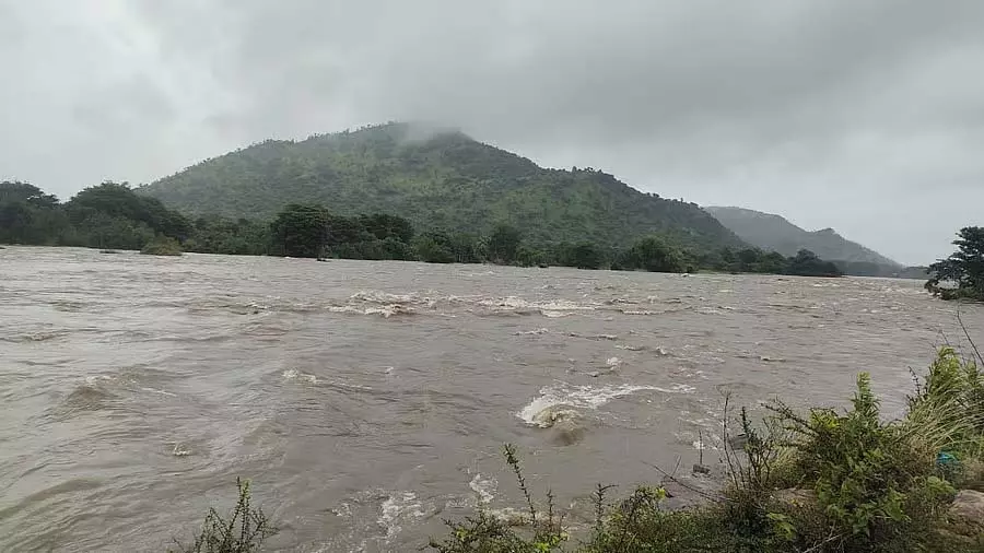 कावेरी नदी में गोता लगाने के बाद मस्ती: 4 साल में 28 मौतें कावेरी नदी में गोता लगाने के बाद मस्ती: 4 साल में 28 मौतें