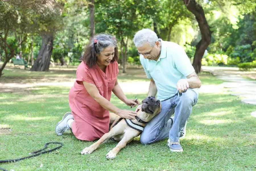 Australia का पारिवारिक कानून संशोधन अधिनियम कानूनी प्रणालियों के मानव-केंद्रित पूर्वाग्रह को चुनौती देता है Australia का पारिवारिक कानून संशोधन अधिनियम कानूनी प्रणालियों के मानव-केंद्रित पूर्वाग्रह को चुनौती देता है