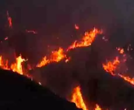 Udhampur के कालड़ी में जंगल में आग लगी Udhampur के कालड़ी में जंगल में आग लगी