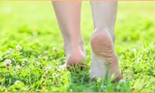 Health: सुबह इस समय घास पर नंगे पैर चलने से मिलते हैं कई कमाल के फायदे, जानिए कितनी देर तक चलना चाहिए Health: सुबह इस समय घास पर नंगे पैर चलने से मिलते हैं कई कमाल के फायदे, जानिए कितनी देर तक चलना चाहिए