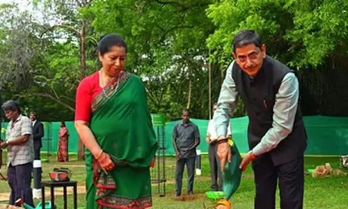 राज्यपाल आर.एन. रवि ने माँ के नाम पर एक पेड़ अभियान का शुभारंभ किया राज्यपाल आर.एन. रवि ने माँ के नाम पर एक पेड़ अभियान का शुभारंभ किया