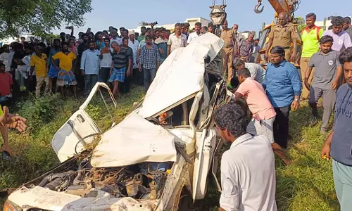 कंटेनर ट्रक ने सड़क किनारे खाना खा रहे विदेशी नागरिकों को टक्कर मारी, 2 की मौत