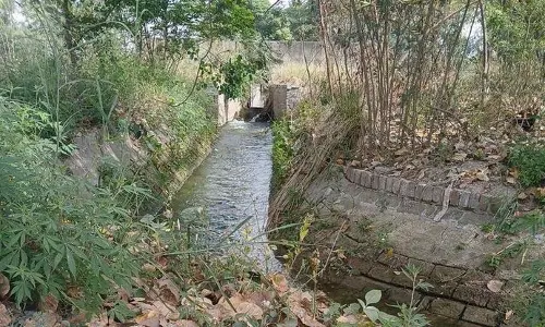 Punjab: धान के मौसम के लिए नहरी पानी की आपूर्ति 10 हजार क्यूसेक बढ़ाई जाएगी Punjab: धान के मौसम के लिए नहरी पानी की आपूर्ति 10 हजार क्यूसेक बढ़ाई जाएगी