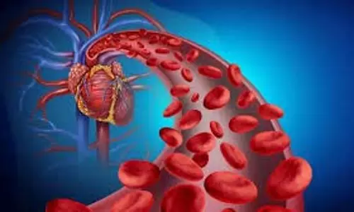 Health: विशेषज्ञों से जानें हार्ट ब्लॉकेज और हार्ट अटैक में क्या अंतर Health: विशेषज्ञों से जानें हार्ट ब्लॉकेज और हार्ट अटैक में क्या अंतर