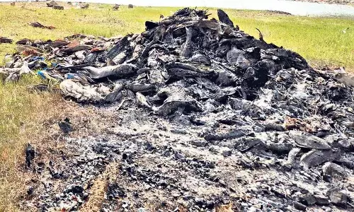 Cherlapally lake को बचाने के लिए हताश मछुआरों ने आक्रामक ‘राकाशी’ को जलाया