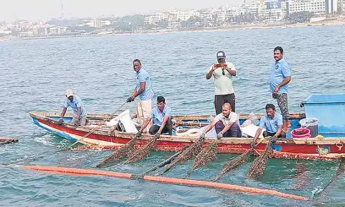 तट पर ट्यूब-नेट समुद्री शैवाल की खेती ने जमा ली जड़ें तट पर ट्यूब-नेट समुद्री शैवाल की खेती ने जमा ली जड़ें
