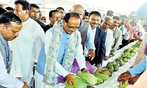 केंद्रीय मंत्री शिवराज सिंह चौहान ने एक राष्ट्र-एक चुनाव का समर्थन किया