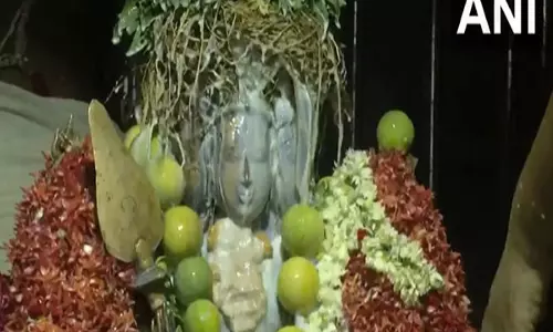 Madurai में वैकासी विसाकम पर भगवान मुरुगन की विशेष पूजा-अर्चना की गई