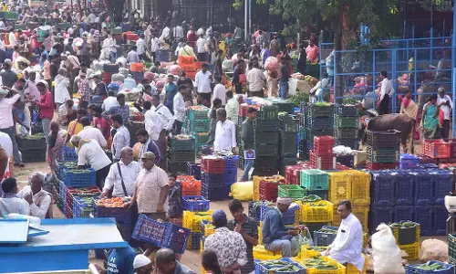 चहल-पहल भरा बाज़ार: लाखों का लेनदेन चहल-पहल भरा बाज़ार: लाखों का लेनदेन