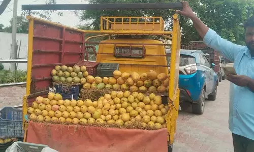 आम के दाम गिरे: बाजार में बेनिशा, मल्लिका